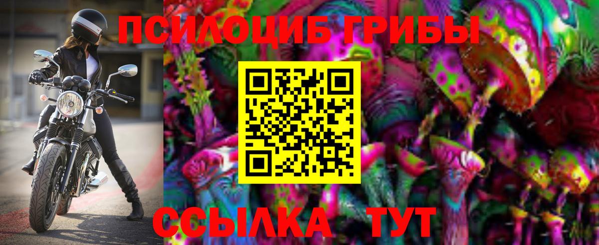 Ялуторовск  Галлюциногенные грибы Psilocybine cubensis  Вход с VPN 